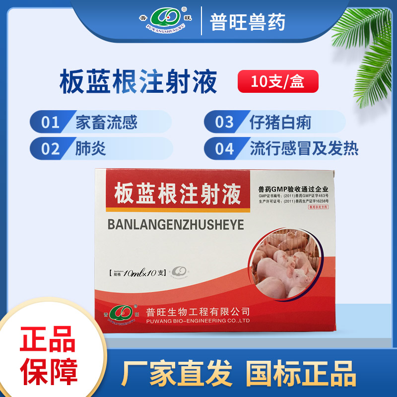 板藍(lán)根注射液