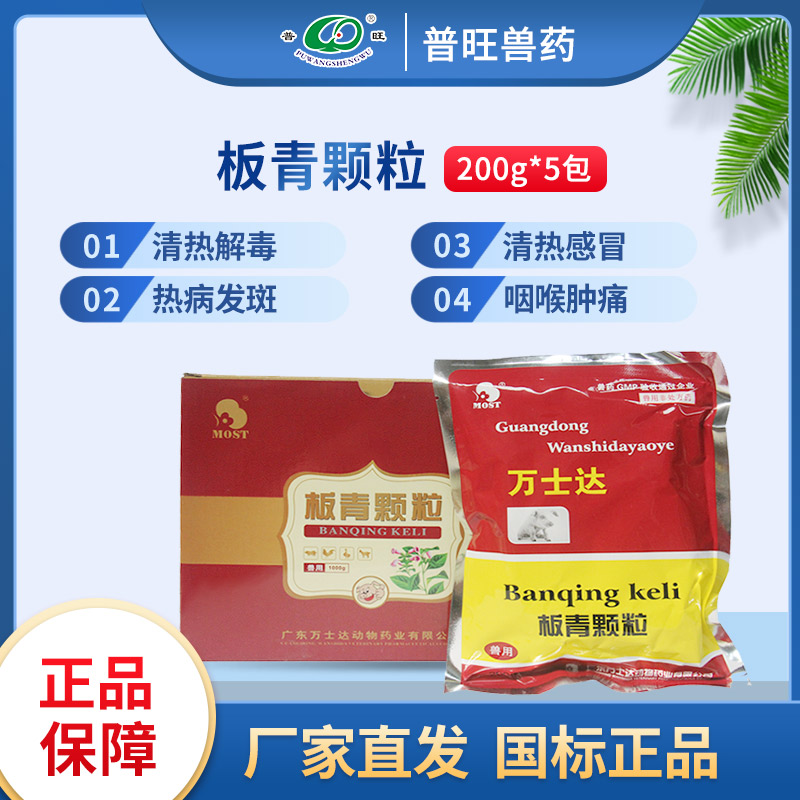 板青顆粒 獸用風寒感冒 獸藥廠家批發(fā)