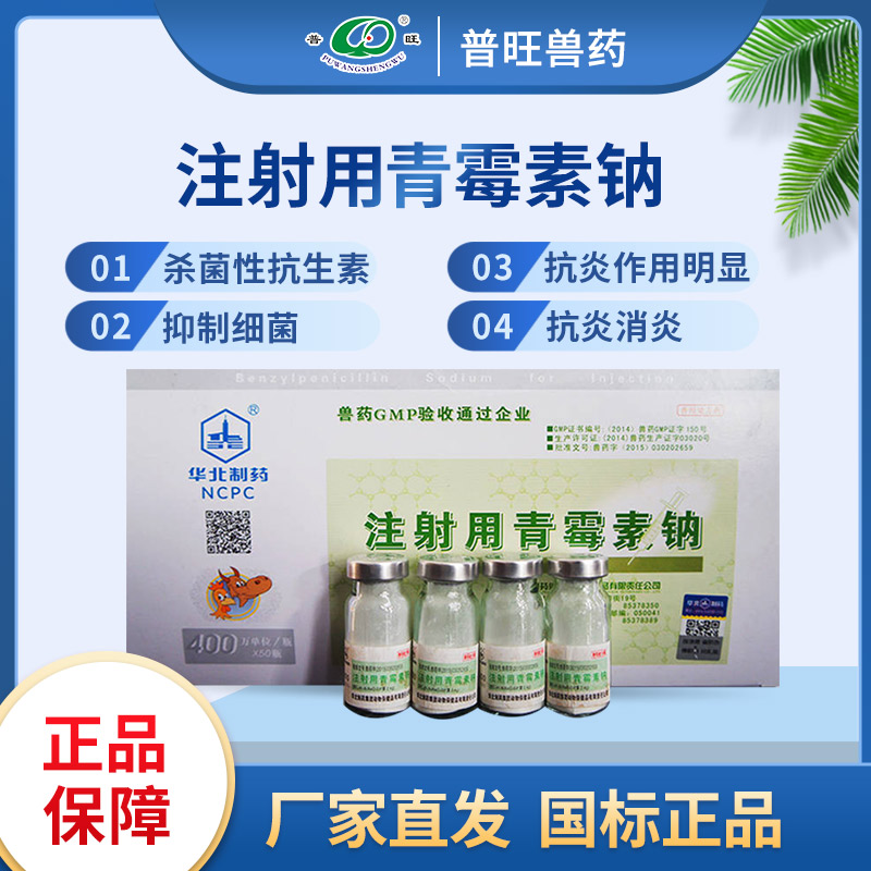 注射用青霉素鈉