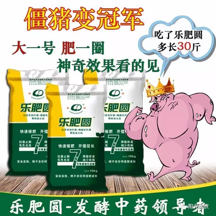 養豬賺大錢,就用樂肥圓!