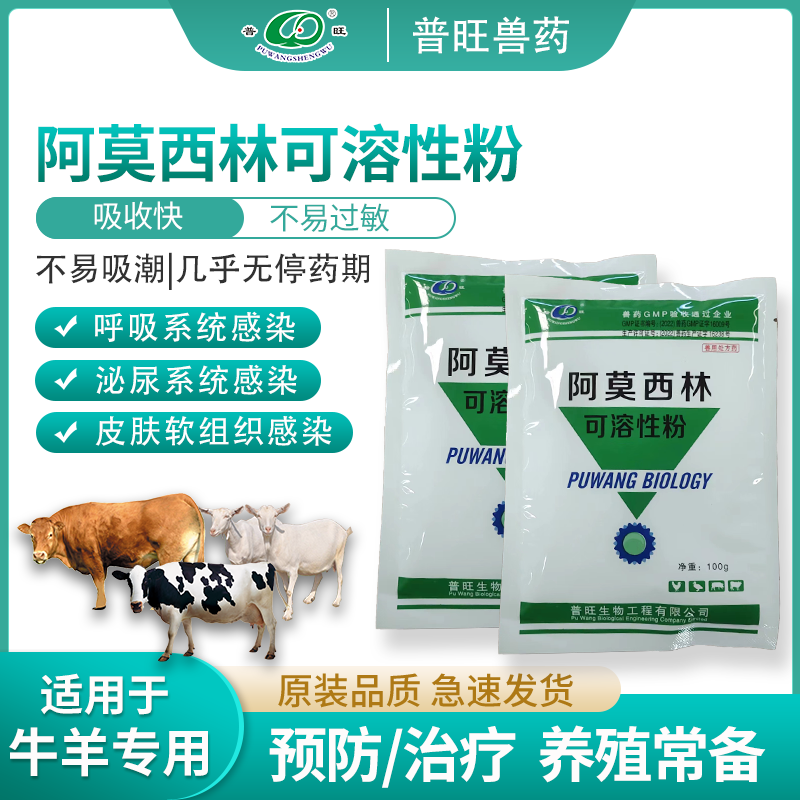 阿莫西林呼吸系統感染泌尿系統感染畜禽通用