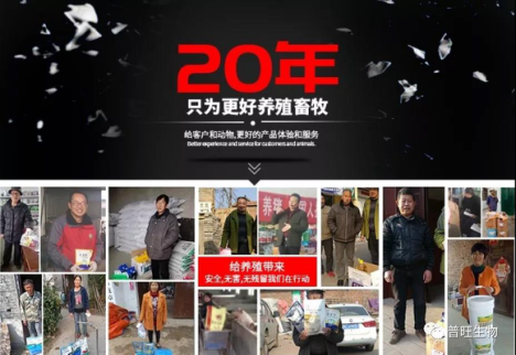 我們的生產&檢測