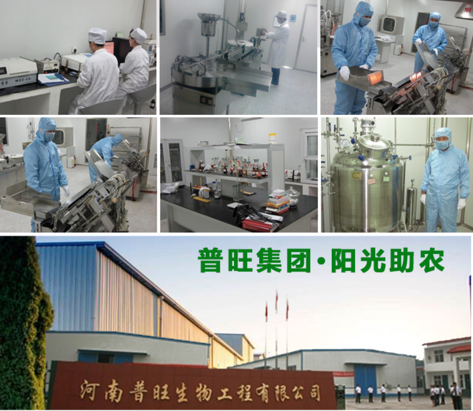 普旺生物獸用藥物生產廠家